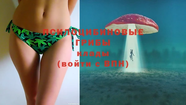 мяу мяу мука Краснослободск